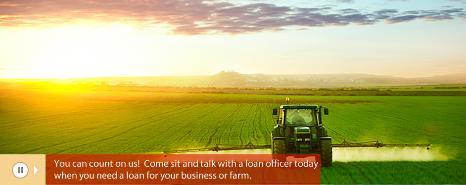 BUSINESS AND AGRICULTURAL LOANS